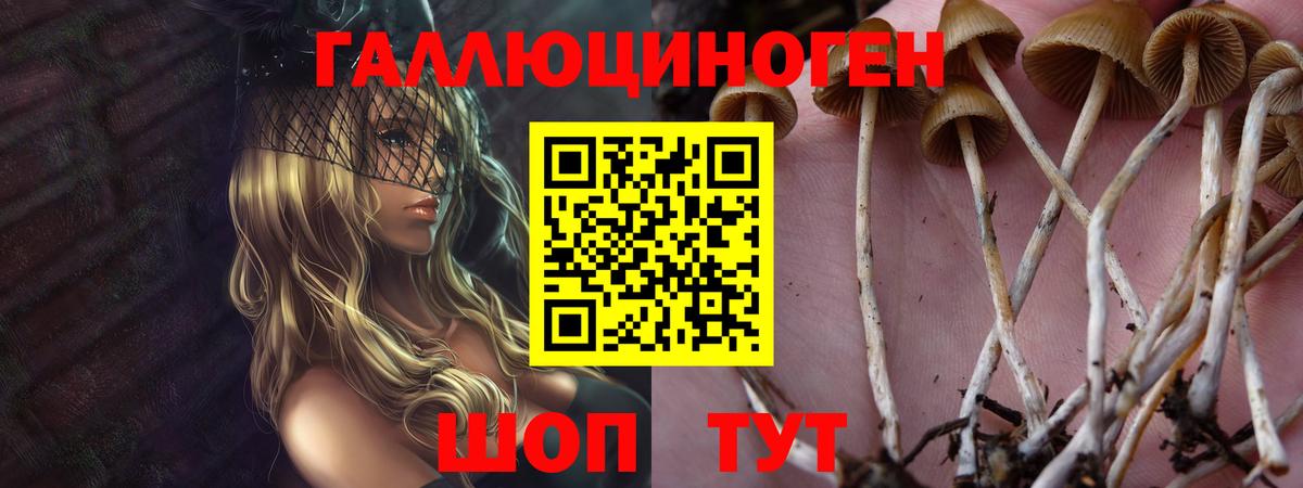 Азов  Псилоцибиновые грибы прущие грибы  Вход с VPN 
