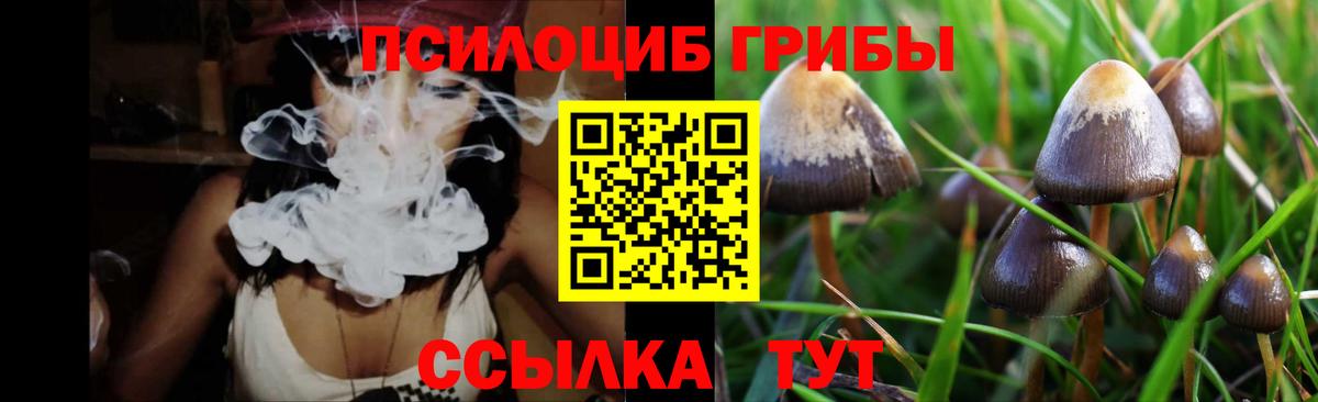 Псилоцибиновые грибы Psilocybe Азов